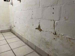 Abbildung feuchtes Mauerwerk