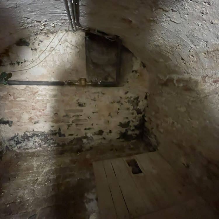 Abbildung feuchtes Mauerwerk im Keller
